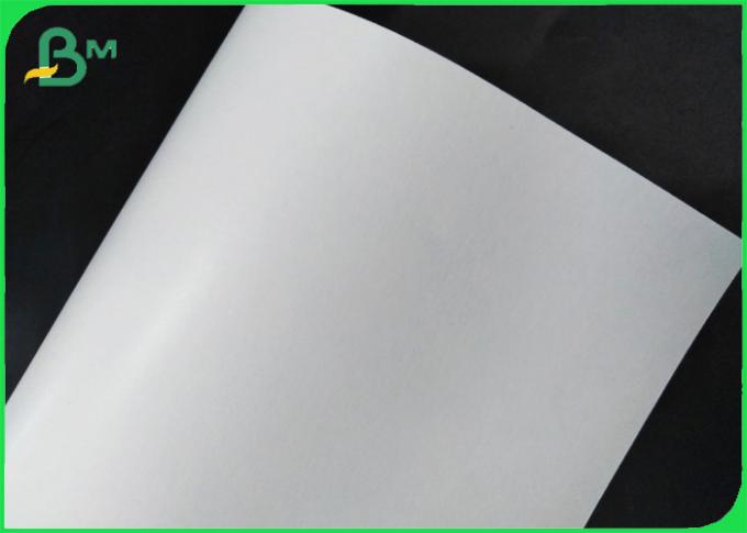 Cupstock полностью способное к возрождению бумажный Rolls покрыло полиэтилен 18g + 10gsm