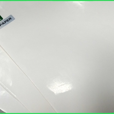 PE 300gr 350gr экологическое нагревное покрыло белый лист Kraft бумажный для чашки