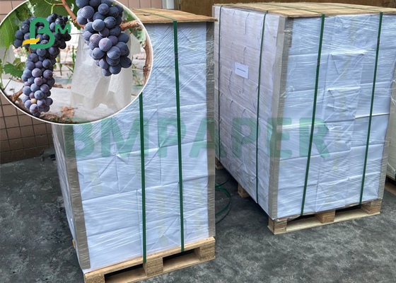 бумага камня 120gsm 144gsm водоустойчивая на сумка 300 x 350mm предохранения от виноградины
