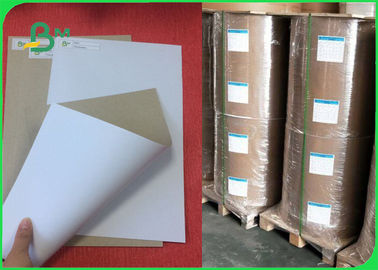 Упаковочная бумага 300 покрытая ГСМ доска дуплекса коробки с задней частью серого цвета