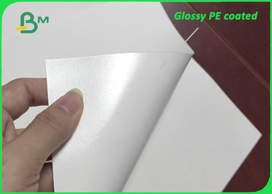 Лоснистая одиночная бортовая бумага с покрытием фильма PE PE 280g + 15g для бумажных стаканчиков