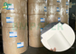 Слон запас чашки крена 190gsm 210gsm Uncoated основал Paperboard для устранимого бумажного стаканчика