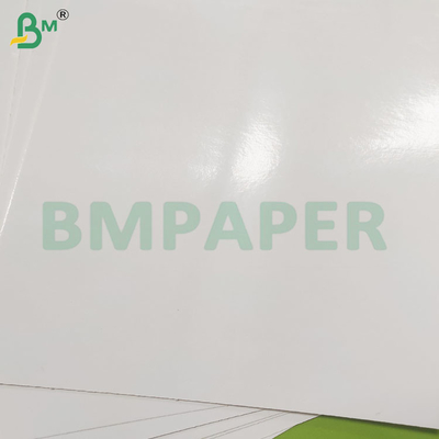260 GSM Продовольственная влагостойкая PE-покрытая замороженная бумага
