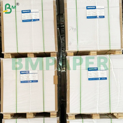260 GSM Продовольственная влагостойкая PE-покрытая замороженная бумага