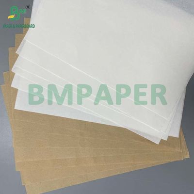 Degradable Food Grade Kraft Paper Roll 20gsm - 50gsm for Coffee Filtering