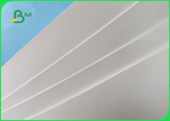 Бумага карты ИСКУССТВА ФСК К2С/Куче бумажное 300ГСМ в Реамс 23 * 35 для плаката