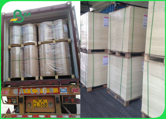 Бумага выпечки еды УПРАВЛЕНИЯ ПО САНИТАРНОМУ НАДЗОРУ ЗА КАЧЕСТВОМ ПИЩЕВЫХ ПРОДУКТОВ И МЕДИКАМЕНТОВ аттестованная ФСК безопасная теплостойкая для гриля варя ББК