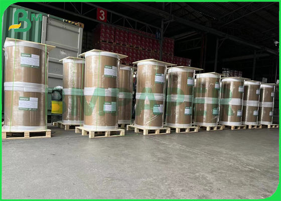 анти- картон белой бумаги замораживателя 240gsm одна покрытая стороной доска еды