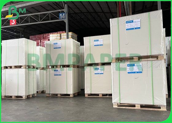 анти- картон белой бумаги замораживателя 240gsm одна покрытая стороной доска еды