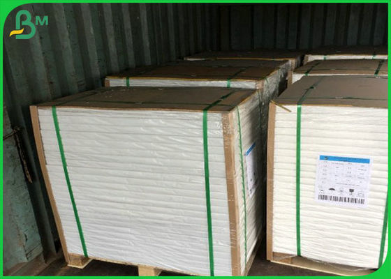 Жиронепроницаемое и водоустойчивое 300г ФББ с одиночным ПЭ для делать коробку для завтрака