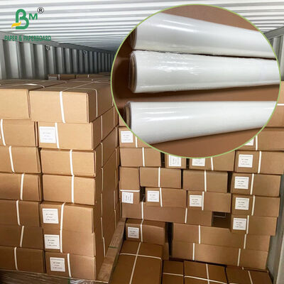 Non Stick Bleached Parchment Paper Slitted Rolls 35gr 38gr 40gr for Oven Baking