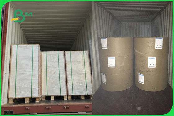 Бумага с покрытием ПЭ доски 15г белой еды безопасная ФББ УПРАВЛЕНИЯ ПО САНИТАРНОМУ НАДЗОРУ ЗА КАЧЕСТВОМ ПИЩЕВЫХ ПРОДУКТОВ И МЕДИКАМЕНТОВ ФСК для чашки делая таможню