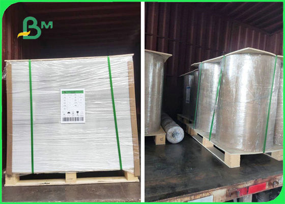 Бумага древесины 130гсм 170гсм 200гсм К2С девственницы штейновая для печати плаката