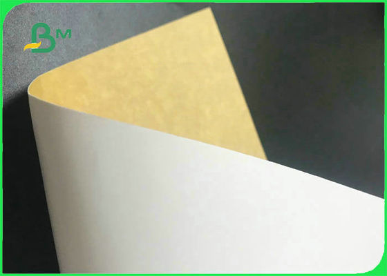 Экологическая дружелюбная белая верхняя задняя часть 250гсм Крафт - 360гсм для пакетов еды