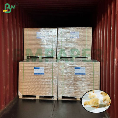 Бумага для выращивания белых цыплят Бумага для птицеводства 66 см 100 см