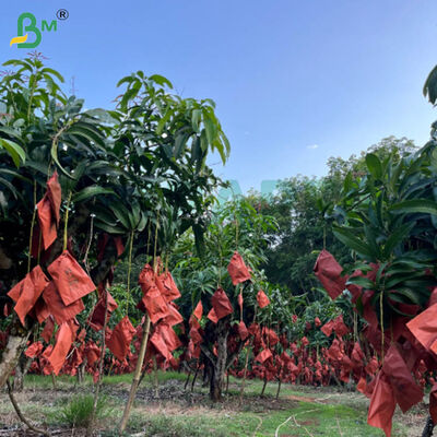 56г Односторонний васковый красный и черный лист бумаги для выращивания манго, устойчивая к погодным условиям защита фруктов