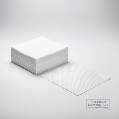 Ультрафиолетоустойчивый виноград манго яблоко выращивать пакетной бумаги Внутренний слой подкладки