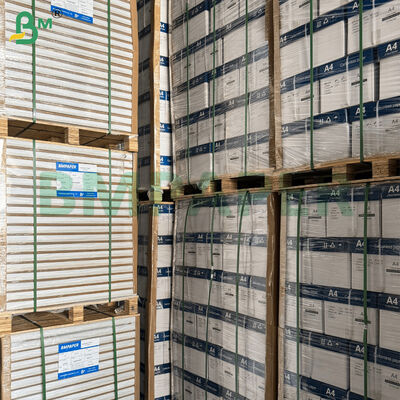 Тонкая прозрачная бумага для Библии плотностью 50/60 г/м² для офсетной печати