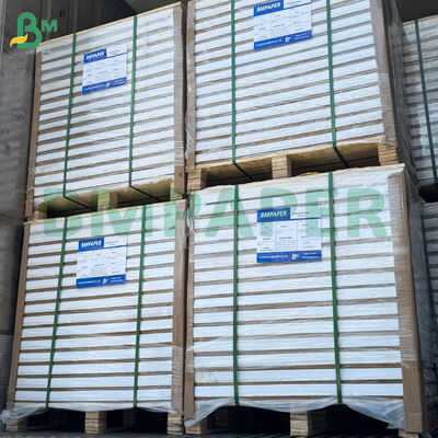 200 гг. 300 гг. Двухгранные покрытые глянцевые / матовые художественные листы