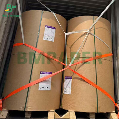 Food Grade 35gsm 38gsm 40gsm Silicone Baking Paper Easy to Peel Off for Cookies