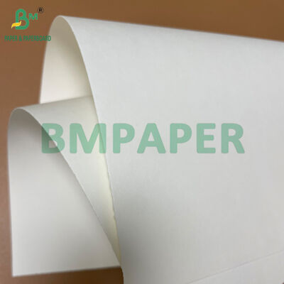Food Grade One Side Coated White Paper Roll 210gsm + 15g PE for Coffee Cup