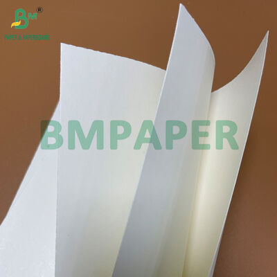 Food Grade One Side Coated White Paper Roll 210gsm + 15g PE for Coffee Cup