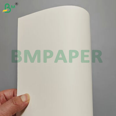 350gsm+15gsm PE Coated Bowl Stock Paper Rolls for Food Containers