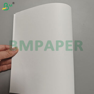 60/70/80/90gsm Book Paper Offset Wood-free Paper Jumbo Rolls