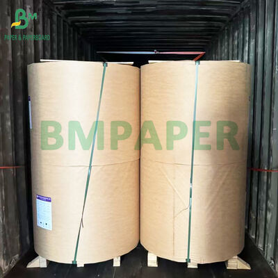 35gsm 40gsm Greaseproof Tacos Sandwich Fire Chicken Burger Food Wrapping Paper