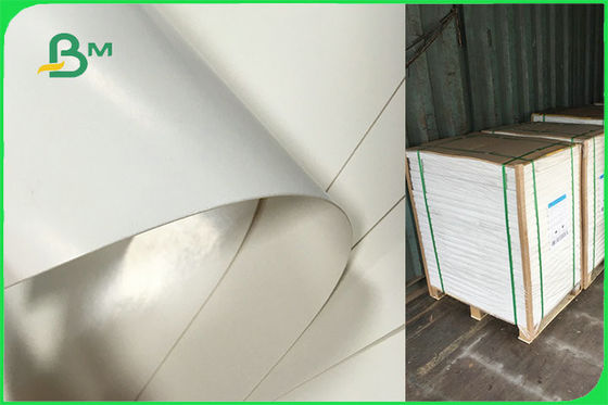 Подгонянная одиночная бортовая бумага с покрытием ПЭ для устранимого одобренного УПРАВЛЕНИЯ ПО САНИТАРНОМУ НАДЗОРУ ЗА КАЧЕСТВОМ ПИЩЕВЫХ ПРОДУКТОВ И МЕДИКАМЕНТОВ ФСК плит