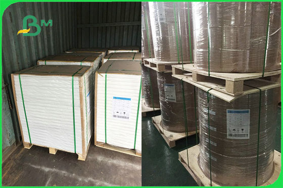 Подгонянная одиночная бортовая бумага с покрытием ПЭ для устранимого одобренного УПРАВЛЕНИЯ ПО САНИТАРНОМУ НАДЗОРУ ЗА КАЧЕСТВОМ ПИЩЕВЫХ ПРОДУКТОВ И МЕДИКАМЕНТОВ ФСК плит