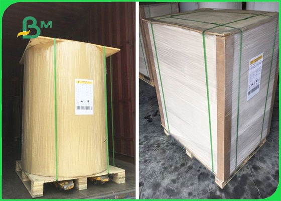 ФСК аттестовал бумагу Крафт оборотной стороны медали в листах одно бортовое × 40" белизны 32