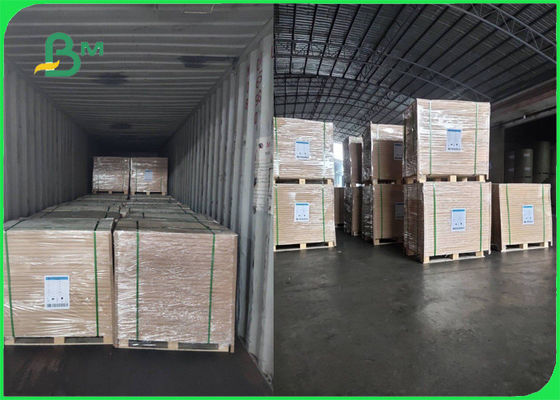 Одобренный FSC крен Woodfree белизны 70g 80g бумажный для брошюры ровной